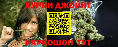 прущие грибы Нальчик