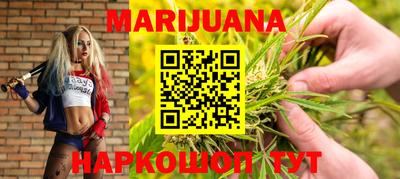 прущие грибы Нальчик