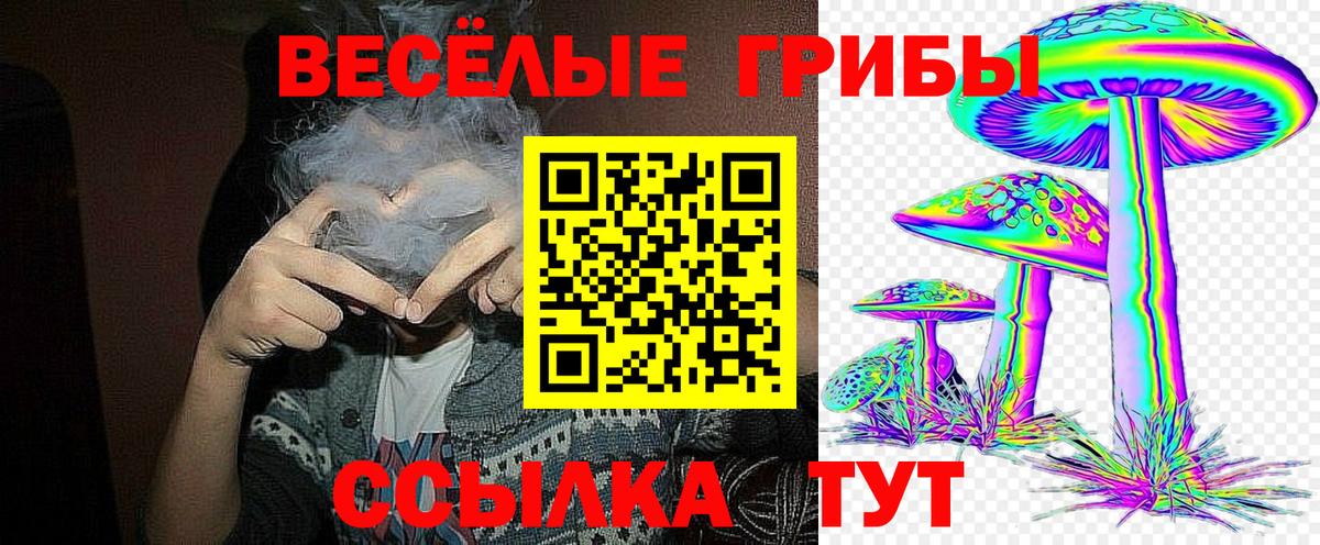 Псилоцибиновые грибы GOLDEN TEACHER Сызрань