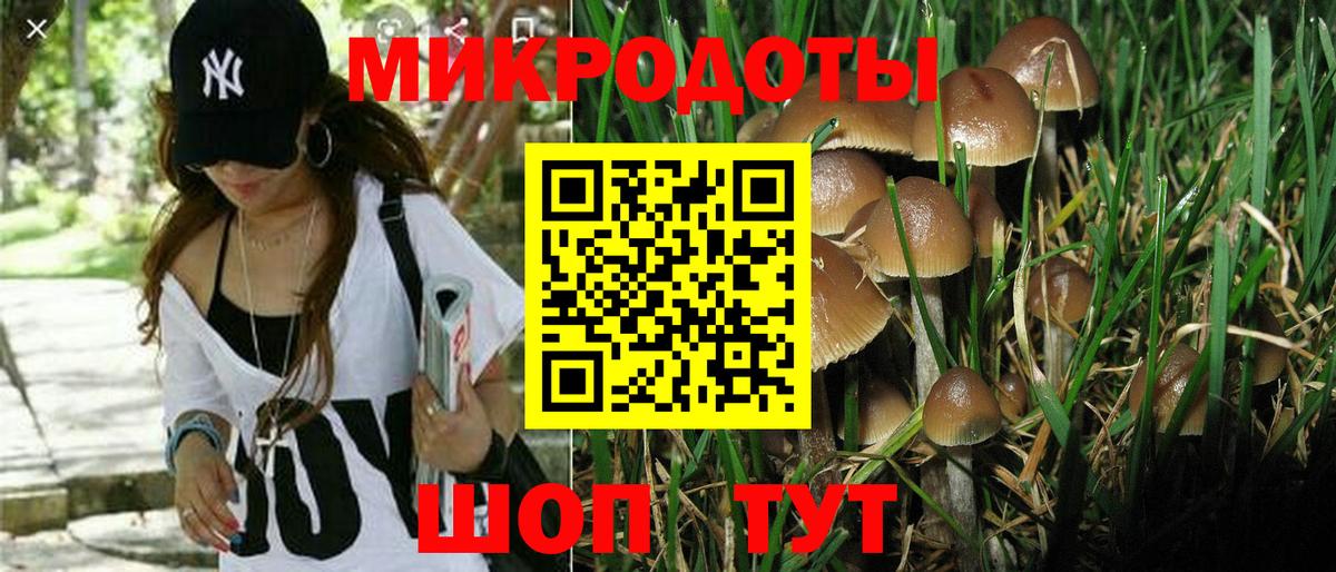 Псилоцибиновые грибы Magic Shrooms  Псилоцибиновые грибы Magic Shrooms  Вход с VPN  Сызрань 